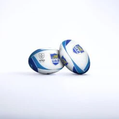 Argentina Supporter Ball