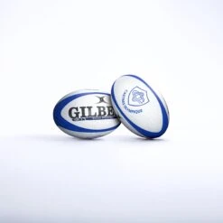 Castres Replica Ball