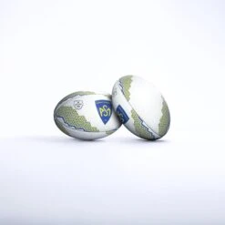 Clermont Ferrand Supporter Ball