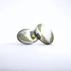 La Rochelle Supporter Ball